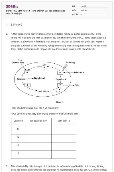 Đề thi HSG Sinh học 12 THPT chuyên Đại học Vinh có đáp án - Đề Tự luận