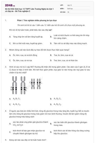 Đề thi HSG Sinh học 12 THPT Liên Trường Nghệ An đợt 1 có đáp án - Đề Trắc nghiệm 2