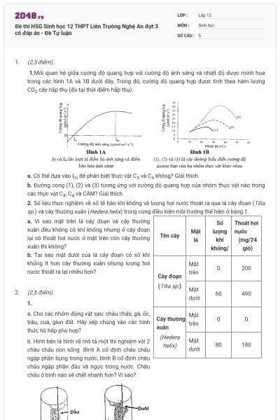 Đề thi HSG Sinh học 12 THPT Liên Trường Nghệ An đợt 3 có đáp án - Đề Tự luận