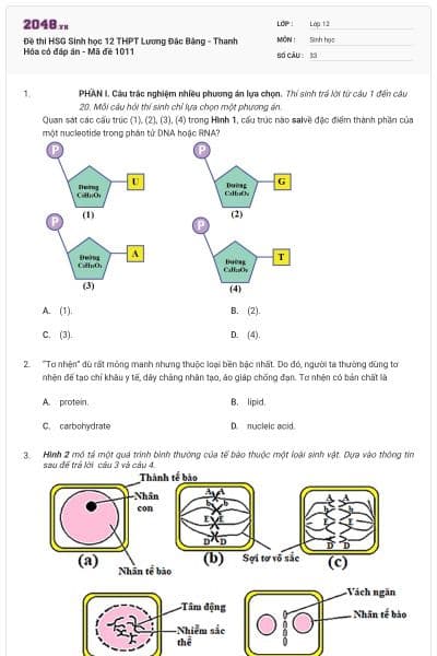 Đề thi HSG Sinh học 12 THPT Lương Đắc Bằng - Thanh Hóa có đáp án - Mã đề 1011