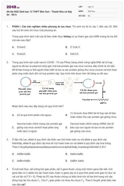 Đề thi HSG Sinh học 12 THPT Bỉm Sơn - Thanh Hóa có đáp án - Đề 6