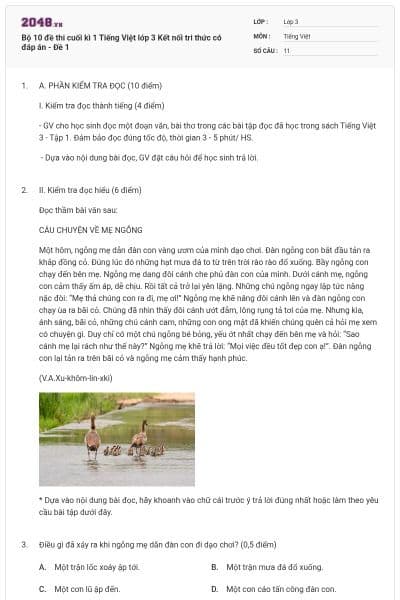 Bộ 10 đề thi cuối kì 1 Tiếng Việt lớp 3 Kết nối tri thức có đáp án - Đề 1