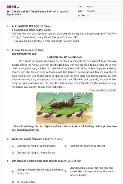 Bộ 10 đề thi cuối kì 1 Tiếng Việt lớp 3 Kết nối tri thức có đáp án - Đề 4