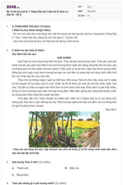 Bộ 10 đề thi cuối kì 1 Tiếng Việt lớp 3 Kết nối tri thức có đáp án - Đề 8