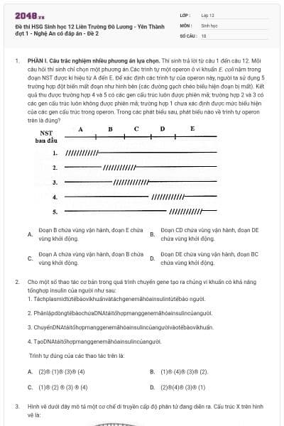 Đề thi HSG Sinh học 12 Liên Trường Đô Lương - Yên Thành đợt 1 - Nghệ An có đáp án - Đề 2