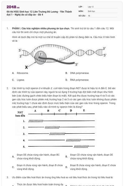 Đề thi HSG Sinh học 12 Liên Trường Đô Lương - Yên Thành đợt 1 - Nghệ An có đáp án - Đề 4