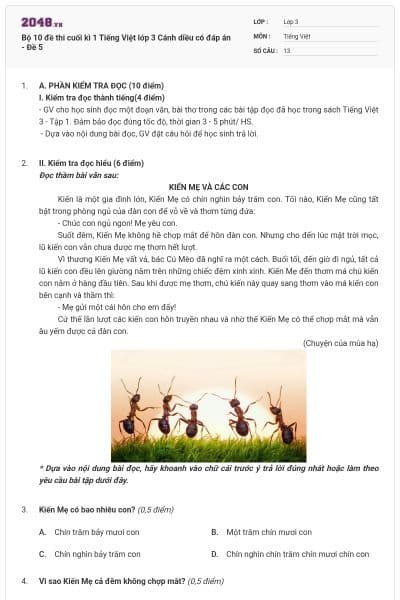 Bộ 10 đề thi cuối kì 1 Tiếng Việt lớp 3 Cánh diều có đáp án - Đề 5