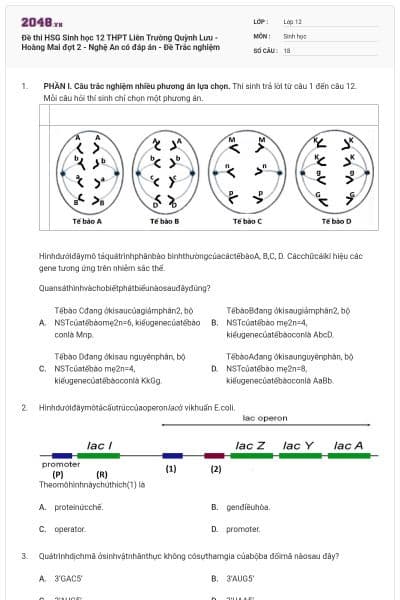 Đề thi HSG Sinh học 12 THPT Liên Trường Quỳnh Lưu - Hoàng Mai đợt 2 - Nghệ An có đáp án - Đề Trắc nghiệm