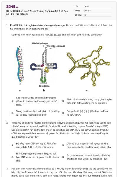 Đề thi HSG Sinh học 12 Liên Trường Nghệ An đợt 3 có đáp án - Đề Trắc nghiệm