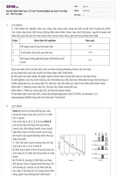 Đề thi HSG Sinh học 12 Liên Trường Nghệ An đợt 3 có đáp án - Đề Tự luận