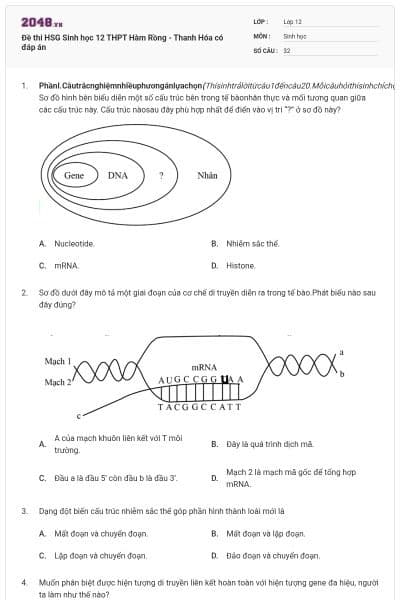 Đề thi HSG Sinh học 12 THPT Hàm Rồng - Thanh Hóa có đáp án