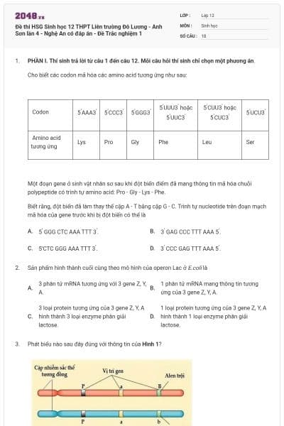 Đề thi HSG Sinh học 12 THPT Liên trường Đô Lương - Anh Sơn lần 4 - Nghệ An có đáp án - Đề Trắc nghiệm 1