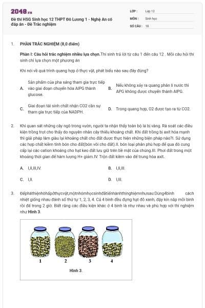 Đề thi HSG Sinh học 12 THPT Đô Lương 1 - Nghệ An có đáp án - Đề Trắc nghiệm