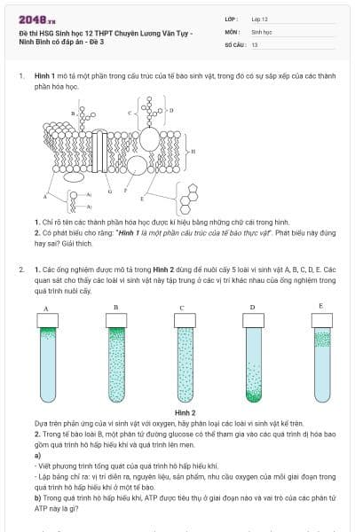 Đề thi HSG Sinh học 12 THPT Chuyên Lương Văn Tụy - Ninh Bình có đáp án - Đề 3