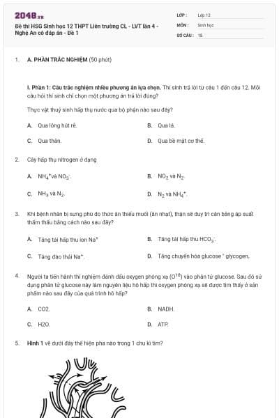 Đề thi HSG Sinh học 12 THPT Liên trường CL - LVT lần 4 - Nghệ An có đáp án - Đề 1