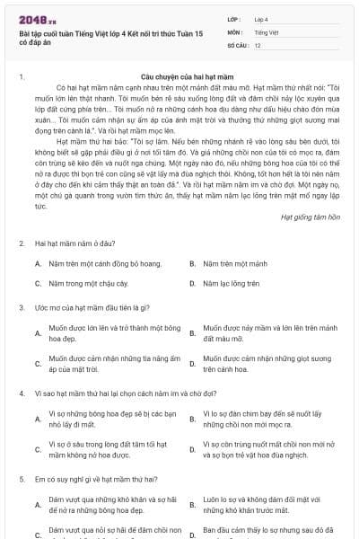 Bài tập cuối tuần Tiếng Việt lớp 4 Kết nối tri thức Tuần 15 có đáp án