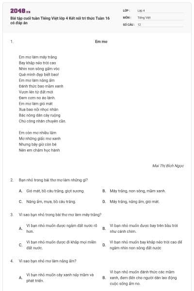 Bài tập cuối tuần Tiếng Việt lớp 4 Kết nối tri thức Tuần 16 có đáp án