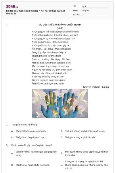 Bài tập cuối tuần Tiếng Việt lớp 4 Kết nối tri thức Tuần 34 có đáp án