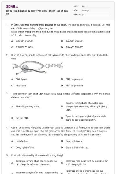 Đề thi HSG Sinh học 12 THPT Yên Định - Thanh Hóa có đáp án