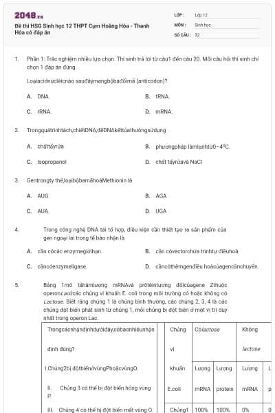 Đề thi HSG Sinh học 12 THPT Cụm Hoằng Hóa - Thanh Hóa có đáp án