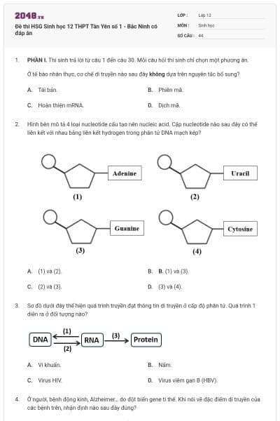 Đề thi HSG Sinh học 12 THPT Tân Yên số 1 - Bắc Ninh có đáp án