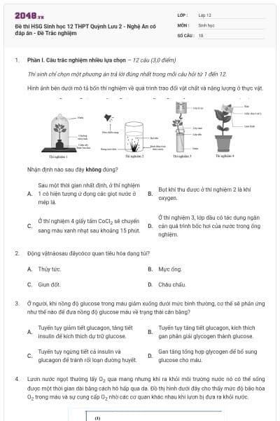 Đề thi HSG Sinh học 12 THPT Quỳnh Lưu 2 - Nghệ An có đáp án - Đề Trắc nghiệm