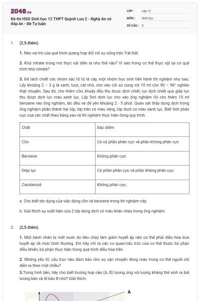 Đề thi HSG Sinh học 12 THPT Quỳnh Lưu 2 - Nghệ An có đáp án - Đề Tự luận
