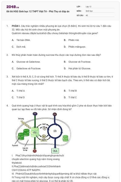 Đề thi HSG Sinh học 12 THPT Việt Trì - Phú Thọ có đáp án