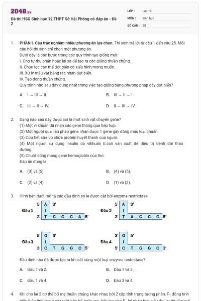 Đề thi HSG Sinh học 12 THPT Sở Hải Phòng có đáp án - Đề 2