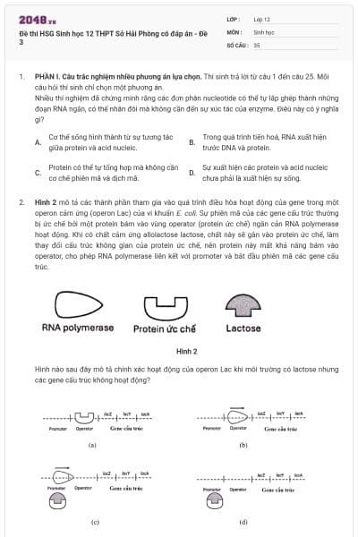 Đề thi HSG Sinh học 12 THPT Sở Hải Phòng có đáp án - Đề 3
