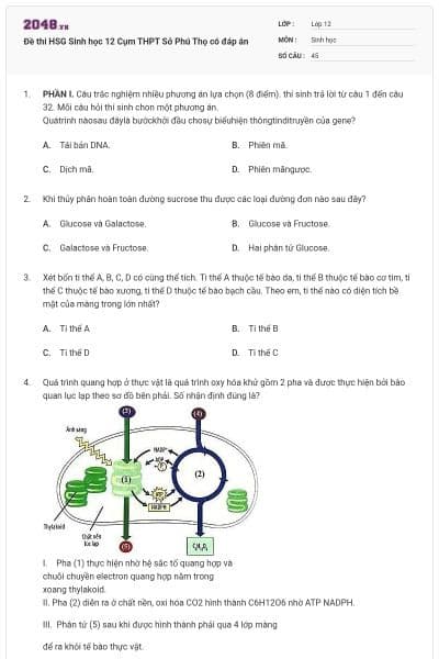 Đề thi HSG Sinh học 12 Cụm THPT Sở Phú Thọ có đáp án