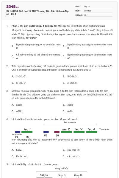 Đề thi HSG Sinh học 12 THPT Lương Tài - Bắc Ninh có đáp án - Đề 4