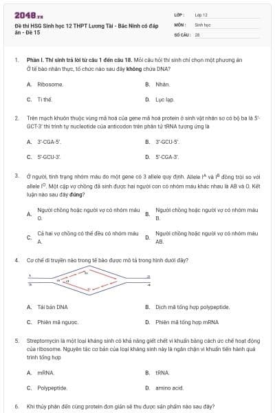 Đề thi HSG Sinh học 12 THPT Lương Tài - Bắc Ninh có đáp án - Đề 15