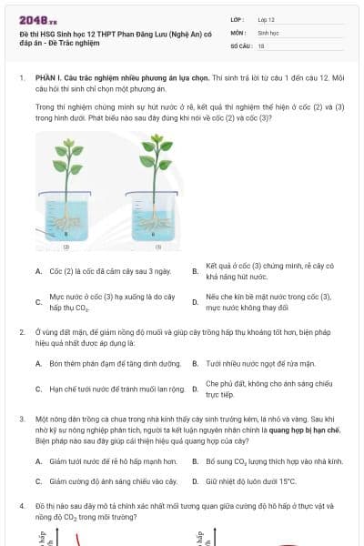 Đề thi HSG Sinh học 12 THPT Phan Đăng Lưu (Nghệ An) có đáp án - Đề Trắc nghiệm