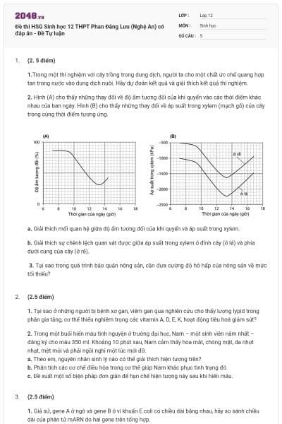Đề thi HSG Sinh học 12 THPT Phan Đăng Lưu (Nghệ An) có đáp án - Đề Tự luận