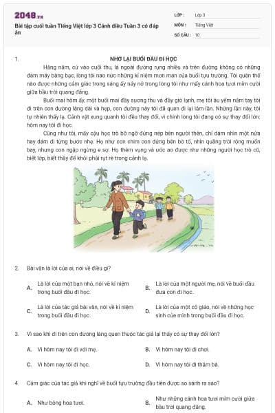 Bài tập cuối tuần Tiếng Việt lớp 3 Cánh diều Tuần 3 có đáp án