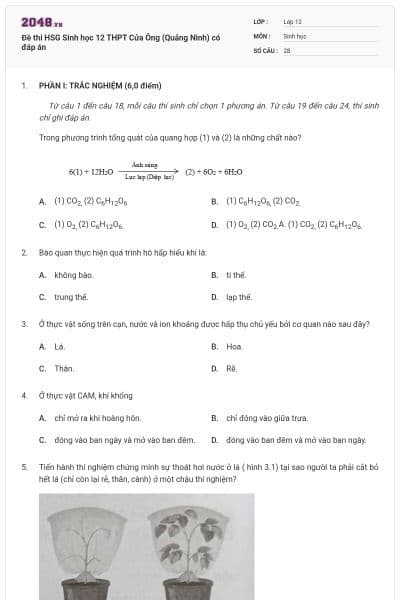 Đề thi HSG Sinh học 12 THPT Cửa Ông (Quảng Ninh) có đáp án