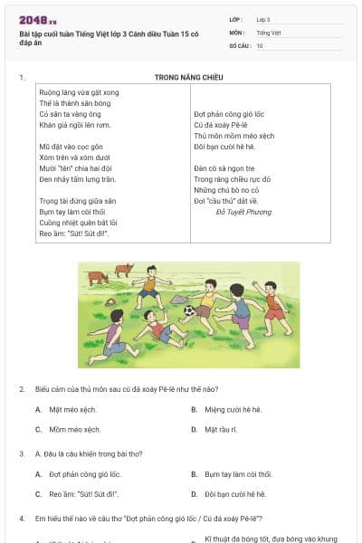 Bài tập cuối tuần Tiếng Việt lớp 3 Cánh diều Tuần 15 có đáp án