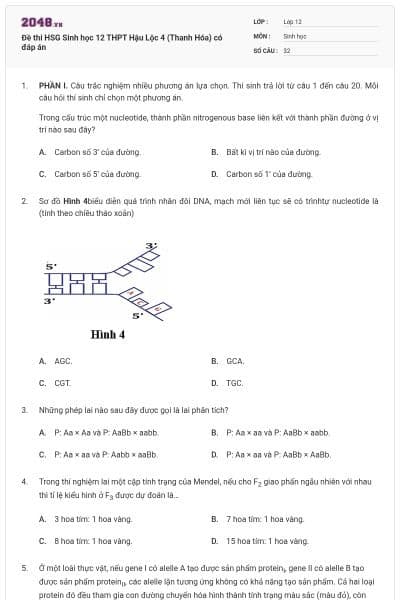 Đề thi HSG Sinh học 12 THPT Hậu Lộc 4 (Thanh Hóa) có đáp án