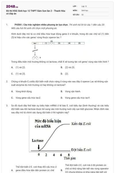 Đề thi HSG Sinh học 12 THPT Sầm Sơn lần 2 - Thanh Hóa có đáp án