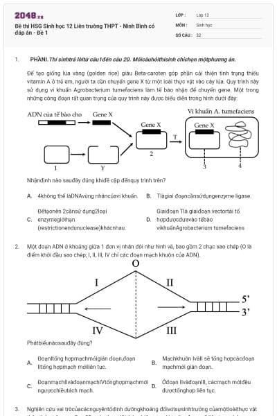 Đề thi HSG Sinh học 12 Liên trường THPT - Ninh Bình có đáp án - Đề 1