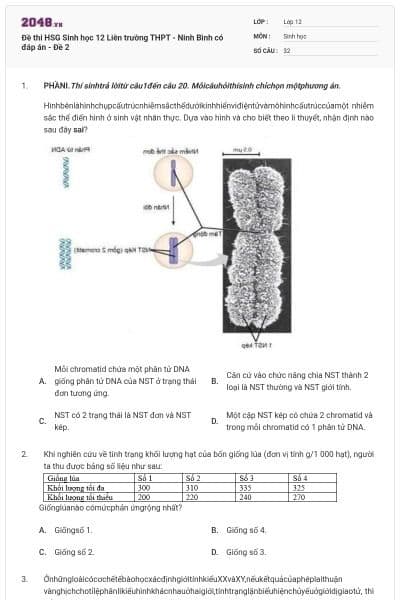 Đề thi HSG Sinh học 12 Liên trường THPT - Ninh Bình có đáp án - Đề 2