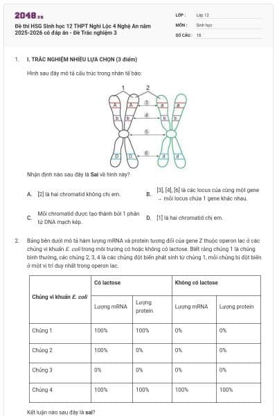 Đề thi HSG Sinh học 12 THPT Nghi Lộc 4 Nghệ An năm 2025-2026 có đáp án - Đề Trắc nghiệm 3