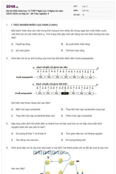Đề thi HSG Sinh học 12 THPT Nghi Lộc 4 Nghệ An năm 2025-2026 có đáp án - Đề Trắc nghiệm 4