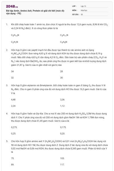 Bài tập Amin, Amino Axit, Protein có giải chi tiết (mức độ vận dụng - P8)