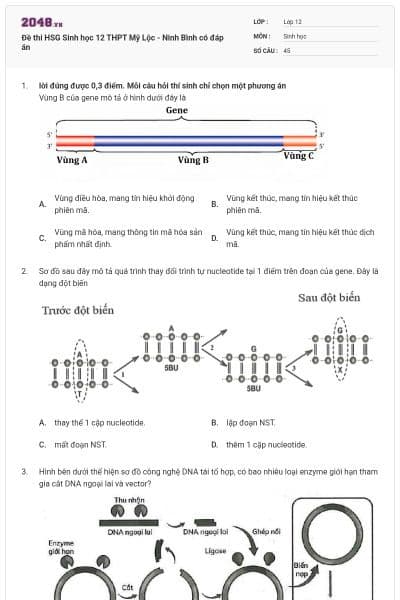 Đề thi HSG Sinh học 12 THPT Mỹ Lộc - Ninh Bình có đáp án