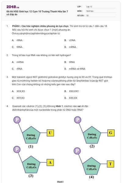Đề thi HSG Sinh học 12 Cụm 10 Trường Thanh Hóa lần 7 có đáp án