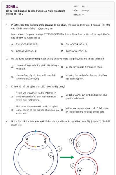 Đề thi HSG Sinh học 12 Liên trường Lục Ngạn (Bắc Ninh) có đáp án - Đề 2