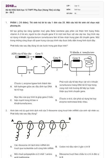Đề thi HSG Sinh học 12 THPT Phụ Dực (Hưng Yên) có đáp án - Đề 2