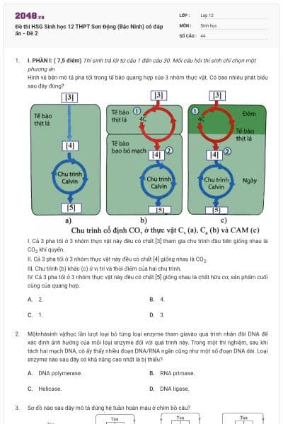 Đề thi HSG Sinh học 12 THPT Sơn Động (Bắc Ninh) có đáp án - Đề 2
